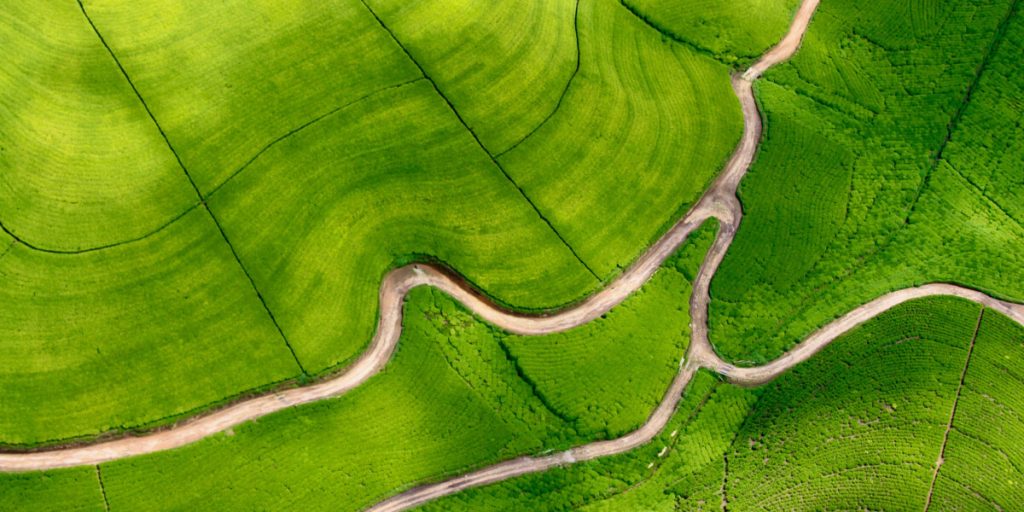 services header services header